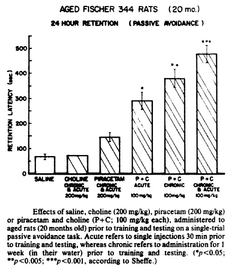 The Beginners Guide to Choline